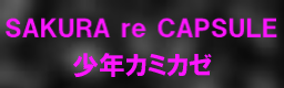 SAKURA re CAPSULE / 少年カミカゼ